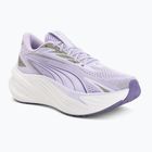 Bežecké topánky Puma Maxima Pro light lavender/plum purple