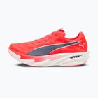 Pánske bežecké topánky PUMA Deviate Nitro Elite 4 ultra red/inky depths