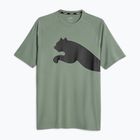 Pánske tréningové tričko PUMA Train All Day Big Cat eucalyptus/puma black