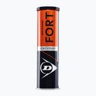 Tenisové loptičky Dunlop Fort Clay Court 4B 2025