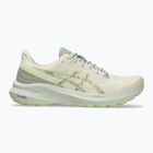 Pánske bežecké topánky ASICS GT-1000 13 TR nature bathing/lime green
