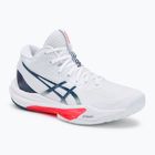 Pánske topánky ASICS Sky Elite FF MT 3 white/mako blue