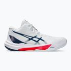 Pánske topánky ASICS Sky Elite FF MT 3 white/mako blue