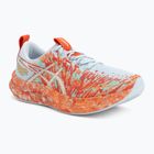 Pánske bežecké topánky Asics Noosa Tri 16 sky/cherry tomato