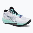Pánske volejbalové topánky ASICS Sky Elite FF MT 4 white/radiant amethyst