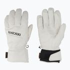 Pánske lyžiarske rukavice Descente 5 Finger Leather white