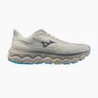 Pánske bežecké topánky Mizuno Wave Horizon 9 foggy dew/dark slate/blue jewel