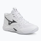 Volejbalové topánky Mizuno Wave Momentum Pro Mid white/metallic gray/black