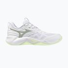 Dámske volejbalové topánky Mizuno Wave Momentum Pro white/aqua gray/ambrosia