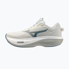 Pánske bežecké topánky Mizuno Wave Rider 30 foggy dew/dark slate/white