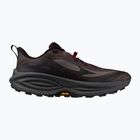 Pánske bežecké topánky Mizuno Neo Daichi 10 raisin/phantom/blackened pearl