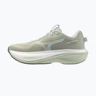 Dámske bežecké topánky Mizuno Wave Rider 30 balsam green/mentholated/white