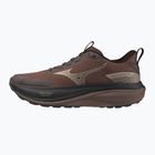Dámske bežecké topánky Mizuno Wave Rider Tt 4 peppercorn/simply taupe/black