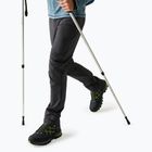 Pánske softshellové nohavice REGATTA Geo Softshell ash