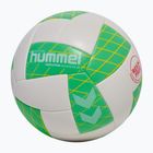Loptu na hádzanú Hummel Evolution Advanced AR HB off white/green/red size 2