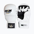 Grapplingové rukavice StormCloud Hurricane white/black