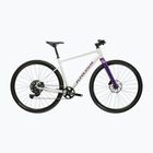Gravelový bicykel KROSS Esker 1.0 FL grey/purple/gloss