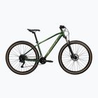 Horský bicykel KROSS Hexagon X200 29" green/gloss
