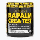Fitness Authority kreatín Napalm Crea Test 255 g mango/citrón