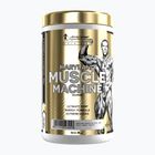 Predtréningový doplnok Fitness Authority Levrone Gold Maryland Muscle Machine 385 g fruit punch