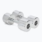 Chrómové činky XTREXO 2x12 kg strieborné