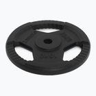 Liatinový kotúč XTREXO TRX-ICP010 10 kg chróm