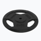 Liatinový kotúč XTREXO TRX-ICP025 25 kg chróm