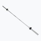 Olympic griffin XTREXO TX-OBB220 sivá