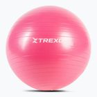 TREXO Gymball TXO-B4Z007-PK 55 cm ružová