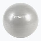 XTREXO Gymball TXO-B4Z007-GY 55 cm sivá