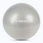 TREXO Gymball TXO-B4Z009-GY 75 cm sivá