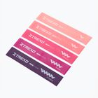 Súprava gúm na cvičenie XTREXO Mini Power Band TXO-B4Z053-ALL 5 ks viacfarebná