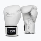 Boxerské rukavice StormCloud Muay Thai Blizzard 2.0 white/silver