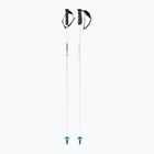 Lyžiarske palice HEAD Worldcup Rebels Carbon white