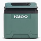 Chladnička Igloo IE24 ACDC 24 and spruce