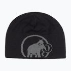 Zimná čiapka Mammut Logo steel/black