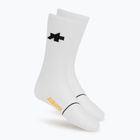Ponožky ASSOS Equipe Spring Fall P1 white