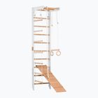 Gymnastický rebrík RINAGYM SPR B+SLIDE