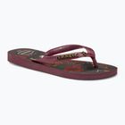 Pánske žabky Havaianas Top Tribo dark brown