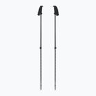 Trekingové palice Black Diamond Explorer 2 Trekking ink blue
