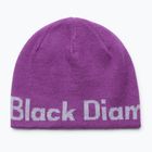 Zimná čiapka Black Diamond Reversible Beanie piton purple/alloy