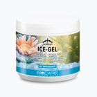 Veredus Ice Gel pre kone 500 ml COG05