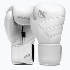 Boxerské rukavice Hayabusa T3 Kanpeki arctic white