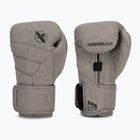 Boxerské rukavice Hayabusa T3 LX slate