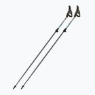 Palice na nordic walking Fizan Carbon Pro Impulse grey