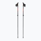 Palice na nordic walking Fizan R-Evolution Pro red