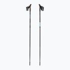 Palice na nordic walking Fizan Lite Tech light blue