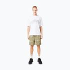 Pánske tričko Oakley Wired Mtn Scape Tee white