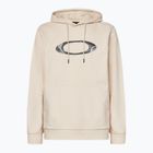 Pánska mikina Oakley New Ellipse Hoodie Sweatshirt mist