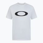 Pánske plavecké tričko Oakley Rashguard biele